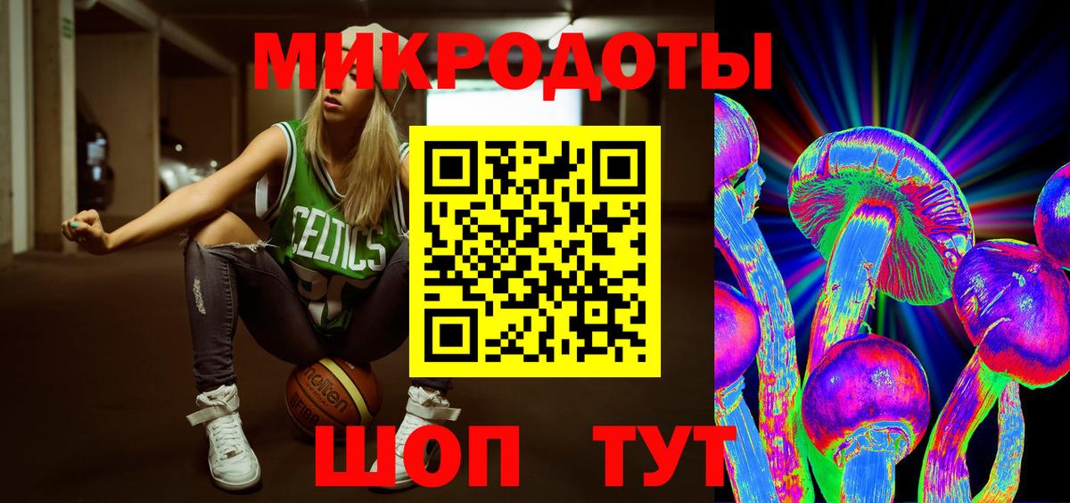 Омск  Галлюциногенные грибы Psilocybine cubensis  Вход с VPN 